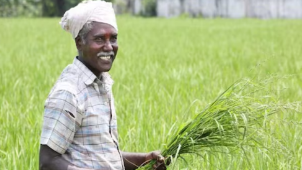 PM Kisan samman nidhi की 18 वी किश्त मिलने से पहले किसान कर ले ये काम, वरना नही मिलेंगी राशी 3 PM Kisan samman nidhi