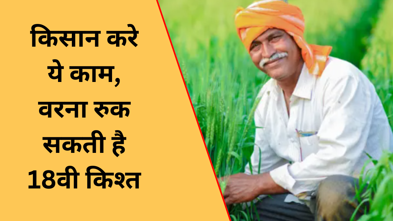 PM kisan samman nidhi