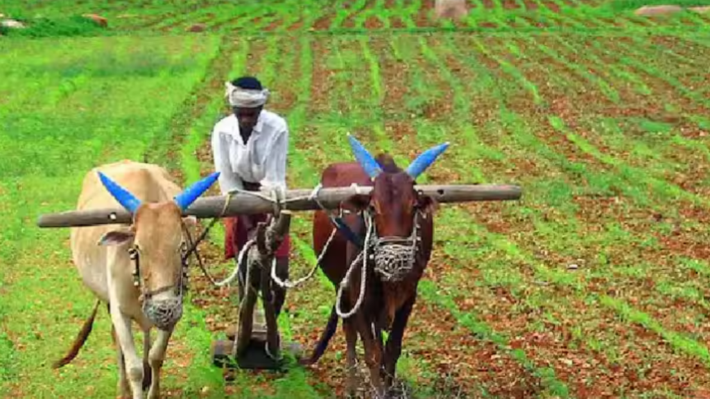 PM fasal Bima Yojana: किसानों को बड़ा लाभ, बटईदार किसानों को मिलेगा मुआवजा, जानिए पूरी जानकारी 2 PM fasal Bima Yojana